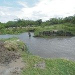 ABRIERON LAS COMPUERTAS DE LOS PRINCIPALES DESAGÜES DEL DISTRITO SAN JAVIER