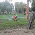 DESDE EL MUNICIPIO SE TRABAJA CONTRA EL DENGUE