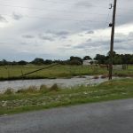 LAS TORMENTAS GENERARON IMPORTANTES DAÑOS EN EL SISTEMA ELÉCTRICO 1