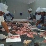 Capacitación despinado 1