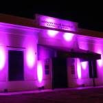 FESTIVAL POR EL DÍA DE LA MUJER