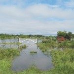 LAS ABUNDANTES LLUVIAS COMPLICAN EL SECTOR PRODUCTIVO DE LOS DEPARTAMENTOS GARAY SAN JAVIER