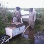 PREOCUPA LA GRAVE SITUACIÓN QUE ATRAVIESA LA PRODUCCIÓN APÍCOLA 