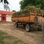 ASISTENCIA A PEQUEÑOS PRODUCTORES