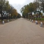 Calle Libertad - Plaza Adolfo Mecca