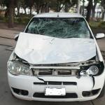 DOS LESIONADO AL CHOCAR UN AUTO CONTRA UN VACUNO EN LA RUTA 1