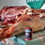 Los Pumas 17 - 06 - 16