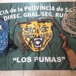 Los pumas - 24 - 06 - 16