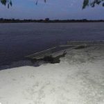 SE DESMORONÓ PARTE DE LA DEFENSA CONTRA INUNDACIONES DE SAN JAVIER 4