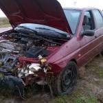 ESQUIVÓ UN PERRO Y DESPISTÓ 3