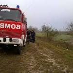 ESQUIVÓ UN PERRO Y DESPISTÓ 4