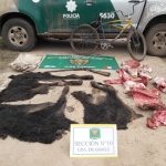 Los Pumas 09 - 07 - 16