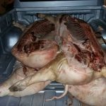 OPERATIVOS REALIZADOS POR PERSONAL DE SEGURIDAD RURAL LOS PUMAS