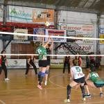 Liga Independiente de Voley