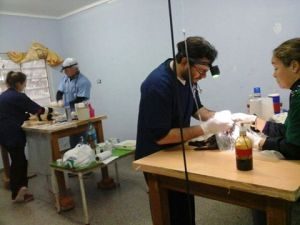 NUEVA JORNADA DE CASTRACIONES