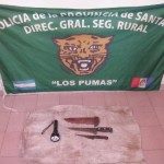 OPERATIVOS DE LOS PUMAS EN EL ÁMBITO PROVINCIAL