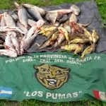  OPERATIVOS DE “LOS PUMAS”, EN CAMINOS RURALES, RUTAS E ISLAS DEL ÁMBITO PROVINCIAL
