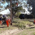 SIGUEN LOS TRABAJOS EN EL BOULEVARD