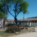 avanza-el-proyecto-yo-quiero-yo-puedo