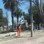 comenzo-la-obra-de-remodelacion-de-la-plaza-san-martin