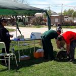 jornada-de-vacunacion-para-perros-y-gatos-en-barrio-san-francisco