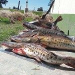 surubi-secuestro-23-09-16