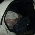 cayasta-decomisaron-pescado-3