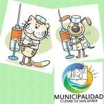 jornada-de-vacunacion-para-perros-y-gatos-en-barrio-jardin