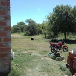 personal-policial-de-santa-rosa-de-calchines-detuvo-a-dos-menores-que-robaron-en-una-escuela