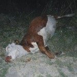 accidente-01-10-16-4