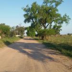 camino-halcon-helvecia