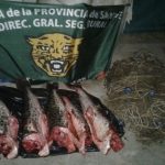 decomisan-pescado-29-11-16