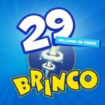 29 - brinco