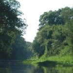 LA PROVINCIA ADHIERE AL DÍA MUNDIAL DE LOS HUMEDALES