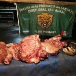 Los Pumas 23 - 02 - 17