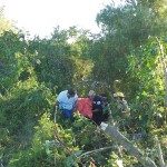 Accidente 19 - 03 - 17 - 1