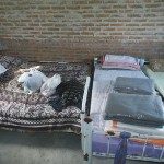 TENEMOS TODO DEVUELTA GRACIAS A LA GENTE