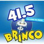 41,5 brinco