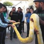 GRAN CONCURRENCIA A CHARLA SOBRE SERPIENTES, ARÁCNIDOS Y ALACRANES