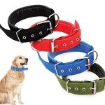 Tenencia Responsable