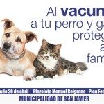 VACUNACIÓN PERRO Y GATOS