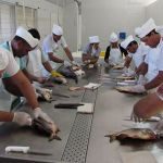 CURSO DE DESPINADO DE PACÚ