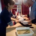 Castración mayo 2017