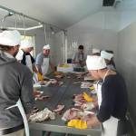 INTRODUCCIÓN AL PROCESAMIENTO DE PESCADO