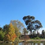 PRONOSTICAN UN INVIERNO LEVEMENTE MÁS CÁLIDO