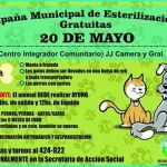 campaña de esterilización
