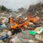 Decomiso Carpincho 3