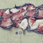 Decomiso Carpincho 4