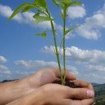 Día Mundial del Medio Ambiente