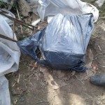 Helvecia - Daño Escuela 2